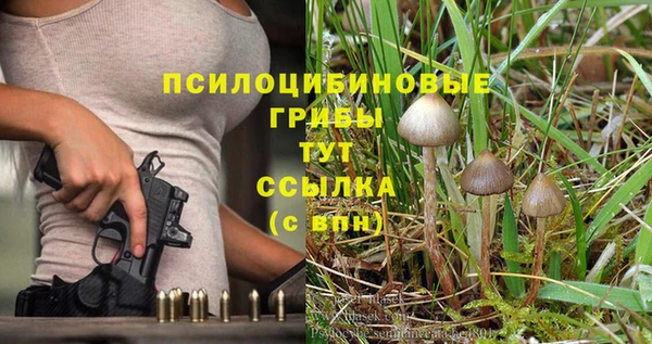 гидра Зерноград