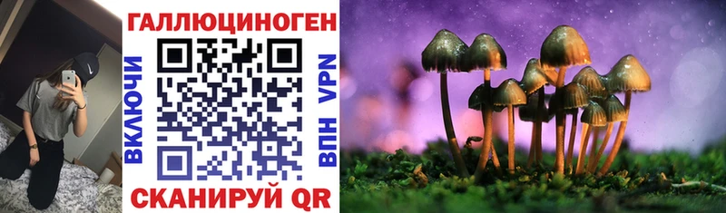 Галлюциногенные грибы Cubensis  Купить  Краснослободск 